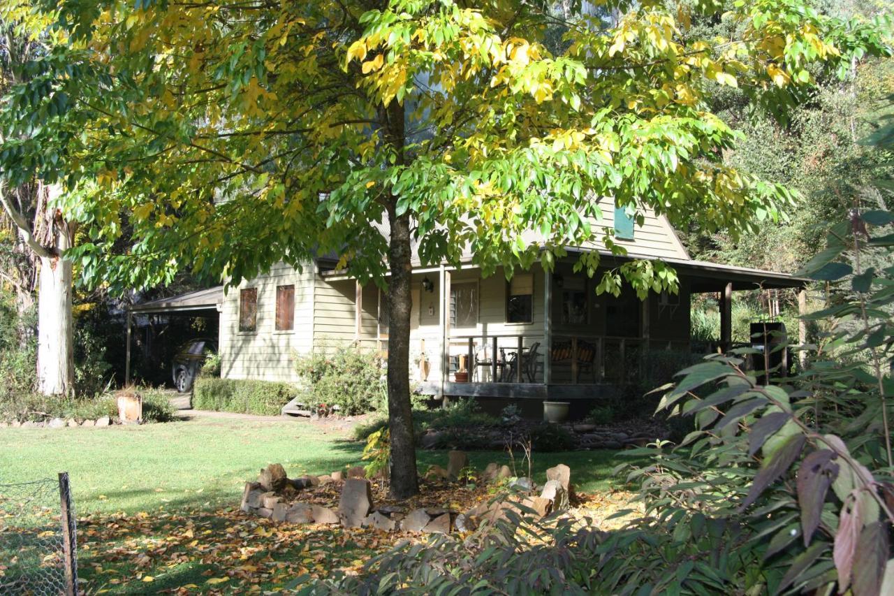 Shady Brook Cottages Harrietville Exterior photo